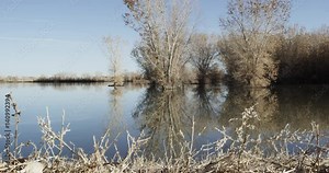 Slow motion, pond, Bosque del Apache