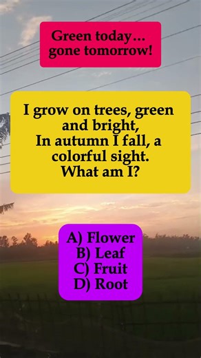 🍃 I Grow on Trees, Green and Bright, In Autumn I Fall – What Am I? #shorts #math #brainteaser