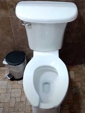 American Standard Cadet Vs. Edgemere Toilet: Features And Differences