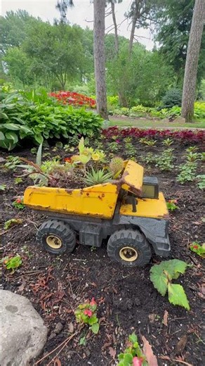 If You're From St. Cloud, You've Definitely Been Here | Munsinger Gardens
