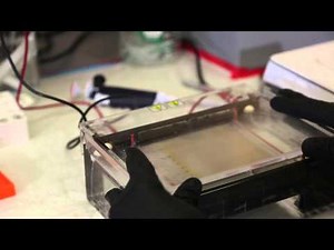 DNA Nanoswitch for Gel-Based Interaction Analysis