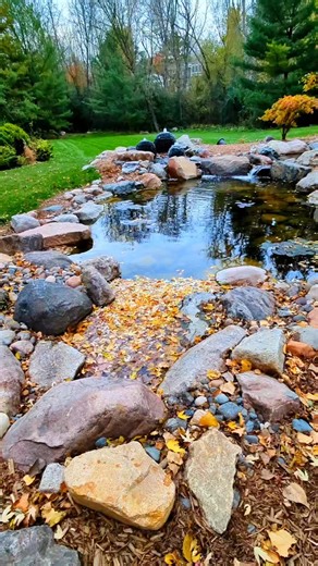 🍂💧 This is why we build intake bays and wetland filters. Together, they create a living ecosystem that stays clean, clear, and low-maintenance all season long. The intake bay pulls in leaves and debris while the wetland filter does the heavy lifting on water quality — the perfect combo for a big, natural pond that looks this good year-round! #Aquascape #IntakeBay #WetlandFilter #EcosystemPond #WaterFeature #PondLife #BackyardOasis #PondDesign #WaterfallVibes #PondBuilders #OutdoorLiving #Minne