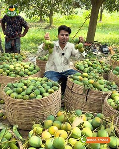 190 reactions · 13 comments | হিমসাগর আম  ক্যাশ অন ডেলিভারি 省...