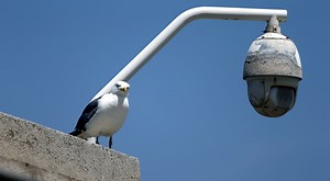 Vidéoprotection à Marseille : la Ville dans le viseur de l'opposition, une mission d’information lancée