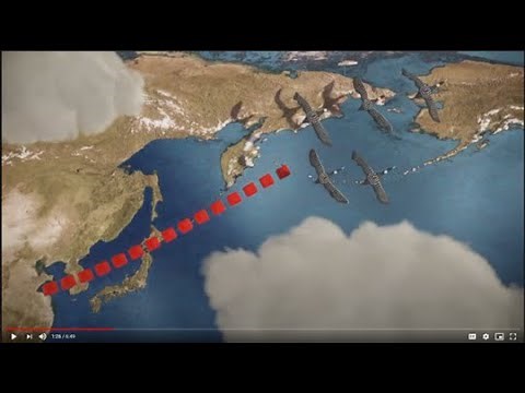 Yellow-billed Loons in a Changing Arctic: A Migration Story