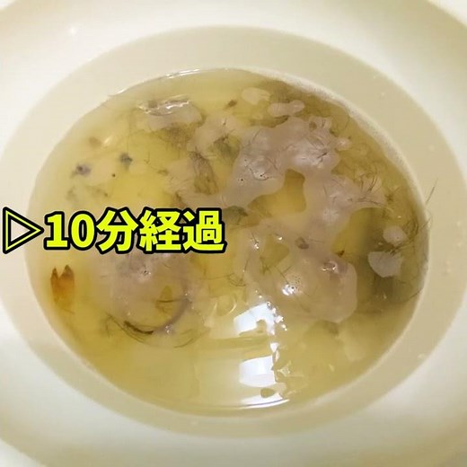 パイプユニッシュプロは髪の毛を溶かす？風呂洗面などの排水口詰まりに効くのか実験！使い方・効果と時間【20分定点カメラ確認】@大阪#shorts