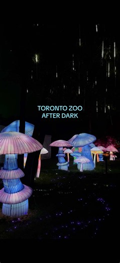 Toronto Zoo Glow in the Wild 2024 — Illuminated Lantern Trail
