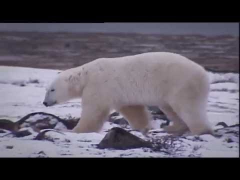 Weather Around the World