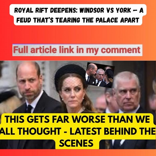 120K views · 217 reactions | At the center of it all are two very...