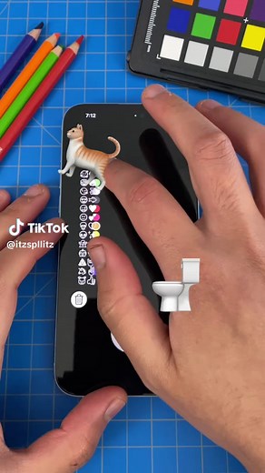 Funny Cat Poop Moments with a Filter