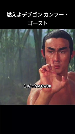 #budodensetsu #サモハンキンポー #カンフー #映画 #香港映画