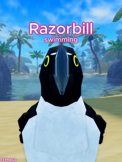 Razorbill Auk * swimming 🐦✨ in Feather Family #RobloxShorts #FeatherFamily
