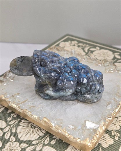 Labradorite Money Toad | Opt M - Etsy