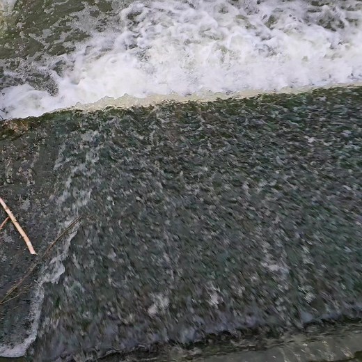 Another Day In Paradise.The River Wey.A Stunning Walk.No Cars.No Cnuts.No Speed Limit. No Police.!!No Parking Tickets.No Cameras. Just Nature.. ❤️