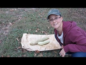 Taking a Luffa Sponge out of a Luffa Gourd