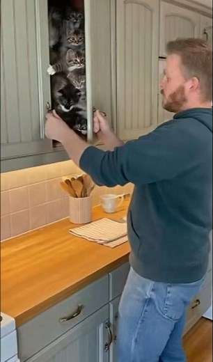 😼 A FLOOD of Kittens EXPLODED Out!