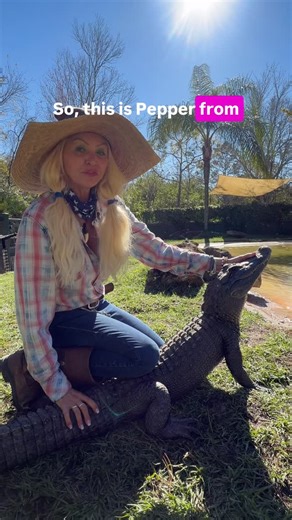 S A V A N N A H B O A N on Instagram: "Hey y’all ❄️ Florida has been throwing us a cold front, so we’ve been busy behind the scenes at Gatorland doing what we do best—making sure every alligator stays warm, comfy, and happy. We’ve been shifting a few of our animals into spots with more sunshine and closer to those warm, well-fed pump areas where that 72° water comes in. Our gators know exactly where the cozy zones are… we just help them get there a little faster when the temps drop. We started a