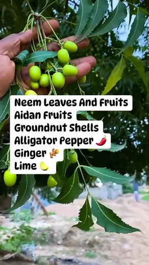 64K views · 1.2K reactions | CURE 4 HIV PART 2 | Uses Of Herbal Medicines | Facebook