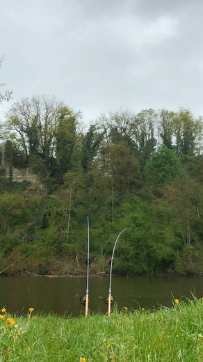 365K views · 5.6K reactions | The best Runnnn ❤️‍ #fishing #carpfishing #carpfishingfrance #river #run | Trakker Auvergnat | Facebook