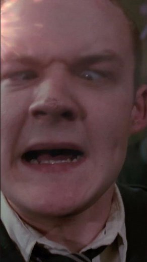 Fred and George's fireworks display #HarryPotter #BonfireNight #WeasleyTwins