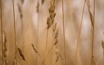 《中和集》全解：丹道中派的中和智慧与三教合一精髓