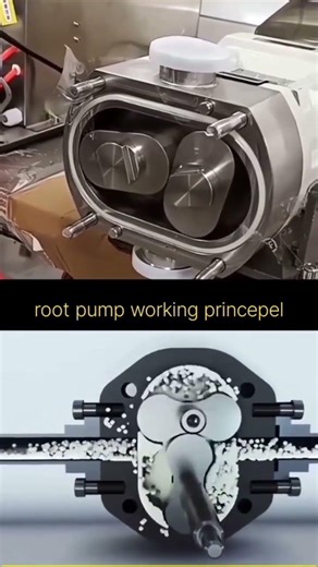 Roots Pump Working Principle | How a Roots Blower Works in Industry (3D Animation
