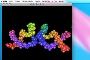 An introduction to Cn3D