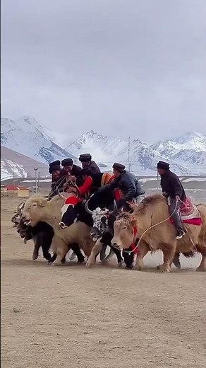 #RidersOfWar This is the most dangerous sport on Earth.This is BUZKASHI😱