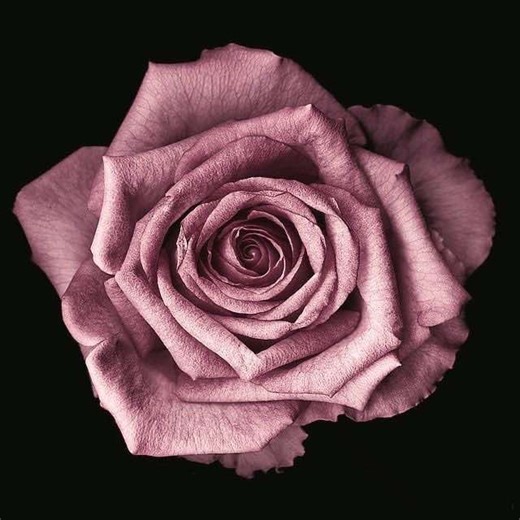 streets #dojacat | Streets Doja Cat