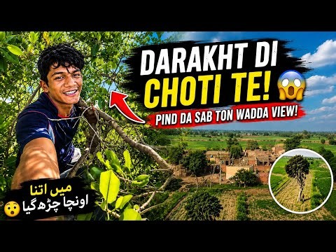 Tree Top View of My Village 😍🌳 | Dangerous Climb Challenge 