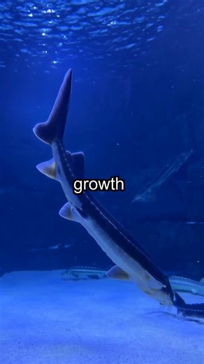 Ocean Secrets: 15 Million Tons Shape Our Atmosphere