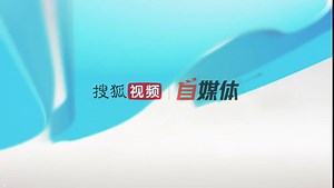 千锋java高级视频教程：54.在Java应用中实现term查询和terms查询