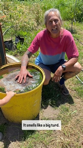 Going to be putting up a few comfrey videos..this one is the final product of my comfrey tea that sat for a year and I’m bottling it up to put at the farmstand for those of you who are local and want to purchase ,and let me tell you this stuff is potent.your gallon jug needs to be watered down and used to at least a 10:1 ratio so a gallon will last longer than you think. We are also doing half gallons and I will show you how I cut the comfrey and make a fresh batch in the next videos .for now he