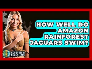 How Well Do Amazon Rainforest Jaguars Swim? - Ecosystem Essentials