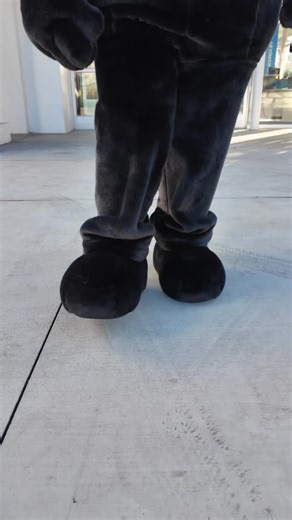 🚨This week’s hot new bombshell… Felix the Cat! #felixthecat #chevrolet #felixchevrolet #losangeles #mascot #dealership #chevy #history #cardealer #corvette #service | Felix Chevrolet