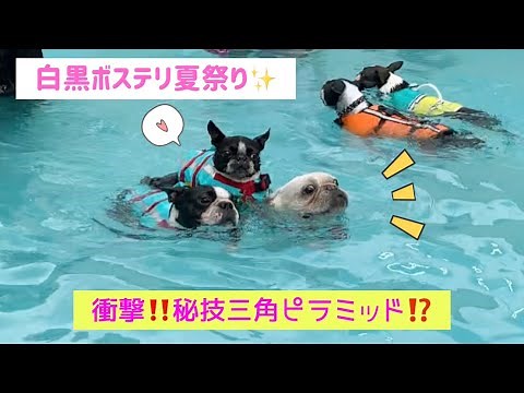白黒プールと浴衣祭り✨水中騎馬戦大成功‼️