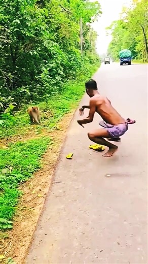 👈#TIME​​​:LAPSE STAR to FINISH Alone BUILD LOG Cabin (Wooden House) How To Build Wooden Cabin Surviv