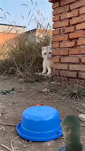 ai video #automobile #aivideo