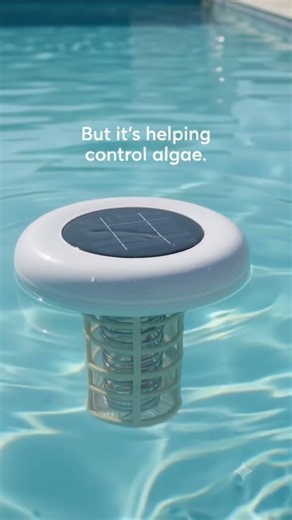 It Just Floats… But It Helps Control Algae ☀️🌊 | Solar Pool Ionizer
