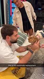 First meet, instant friendship 😻 #newfriend #goodtimes #cute | David Dobrik