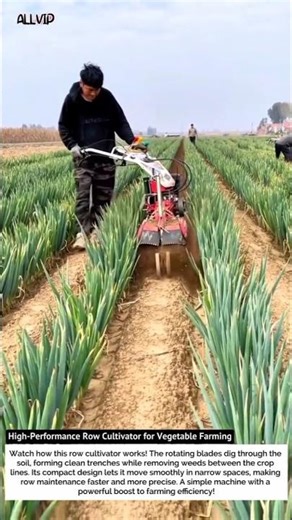 High-Performance Row Cultivator for Vegetable Farming