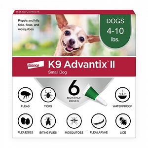 K9 Advantix II Monthly Flea & Tick Prevention for Small Dogs 4-10 lbs, 6-Monthly Treatment - Walmart.com