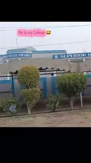 College Life Reflections and Humor