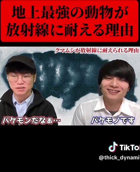 地上最強の生物クマムシが放射線にも耐えれる理由が解明...。#クマムシ #解明