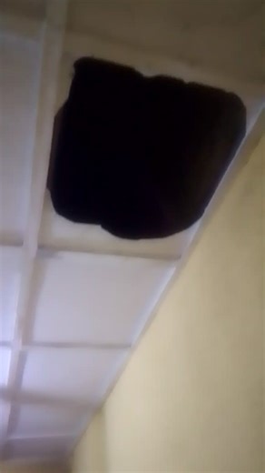 Oracle IMAGE on Reels