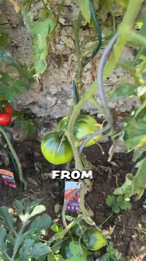 Things You Don't Know About Me | Christina Milian