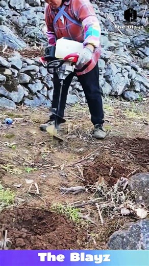 Powerful Machine Digging Perfect Holes for Planting Big Tree Saplings | Fast & Efficient Farming