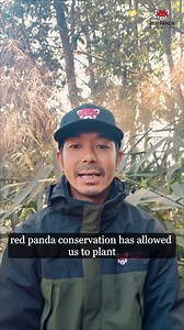Thank you from Red Panda Network