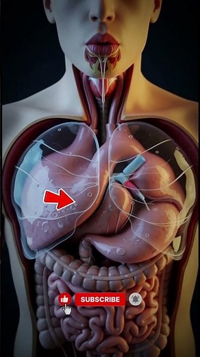 What REALLY Happens During an Asthma Attack | 3D Animation