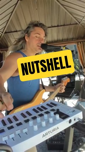 Nutshell | Alice in Chains | Looping cover #liveperformance #musicgear #nutshell